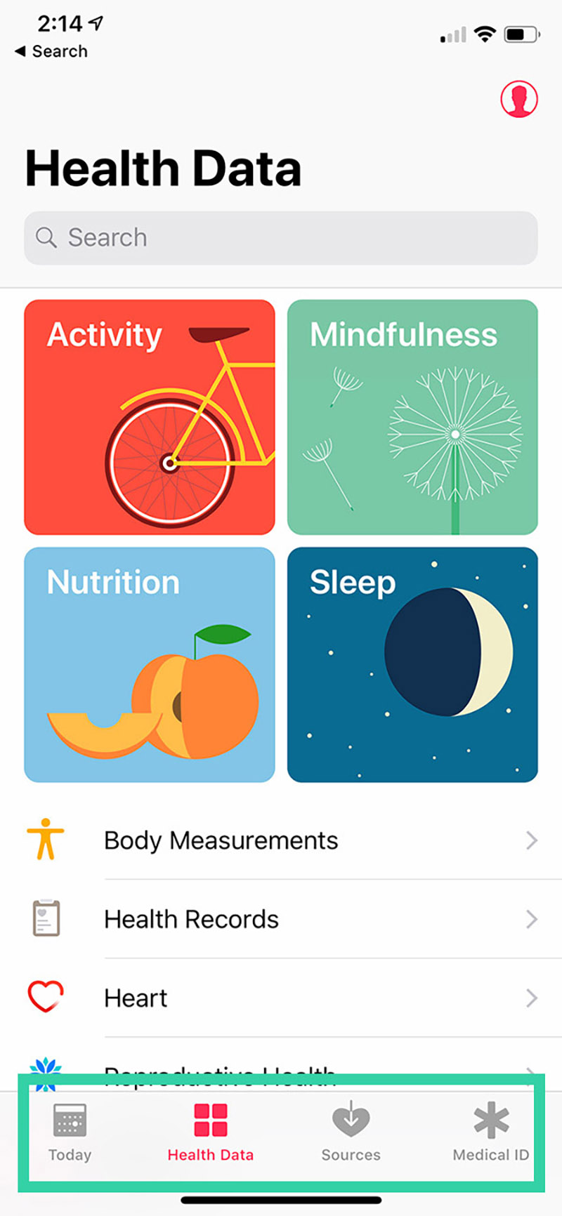 A screenshot of the iOS 12 Health App with the lower navigation highlighted with with a Punchkick pop teal box